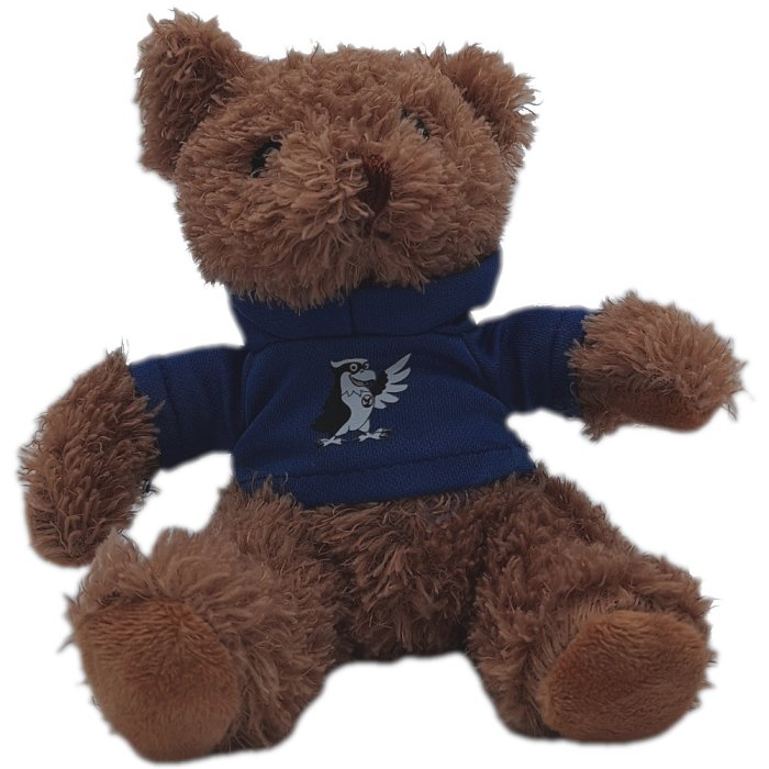 Plüschteddy